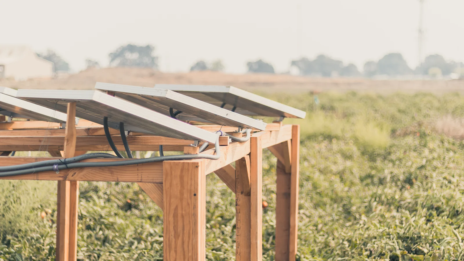 Acciona Energía Launches Major Renewable Initiative With 380 Mw Aldoga Solar Farm in Australia