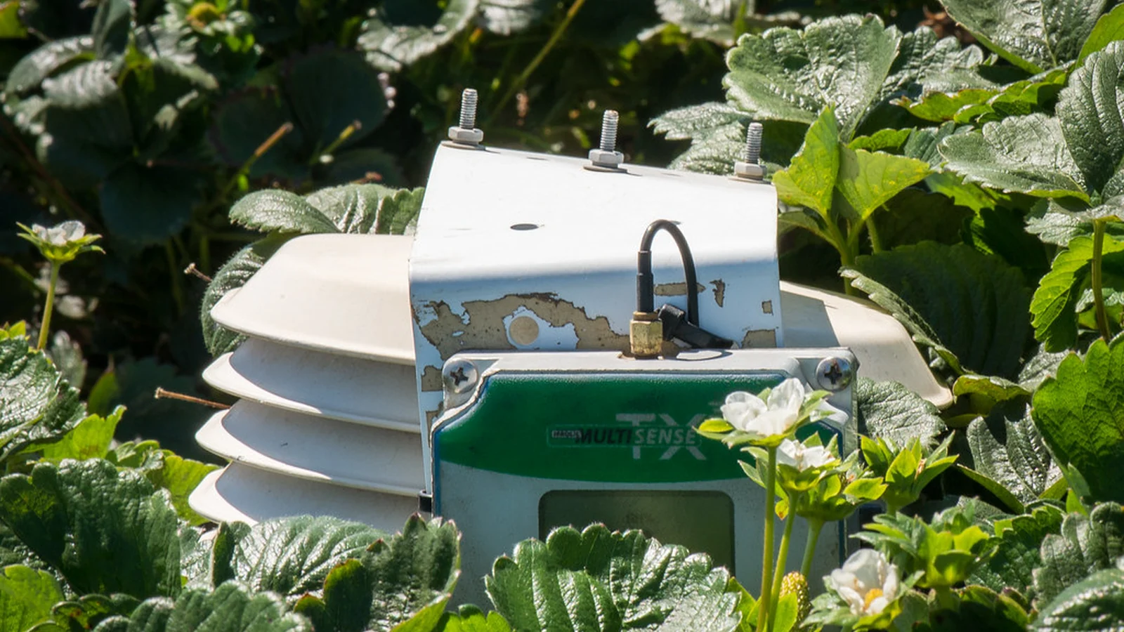 Environmental Impact and Recycling