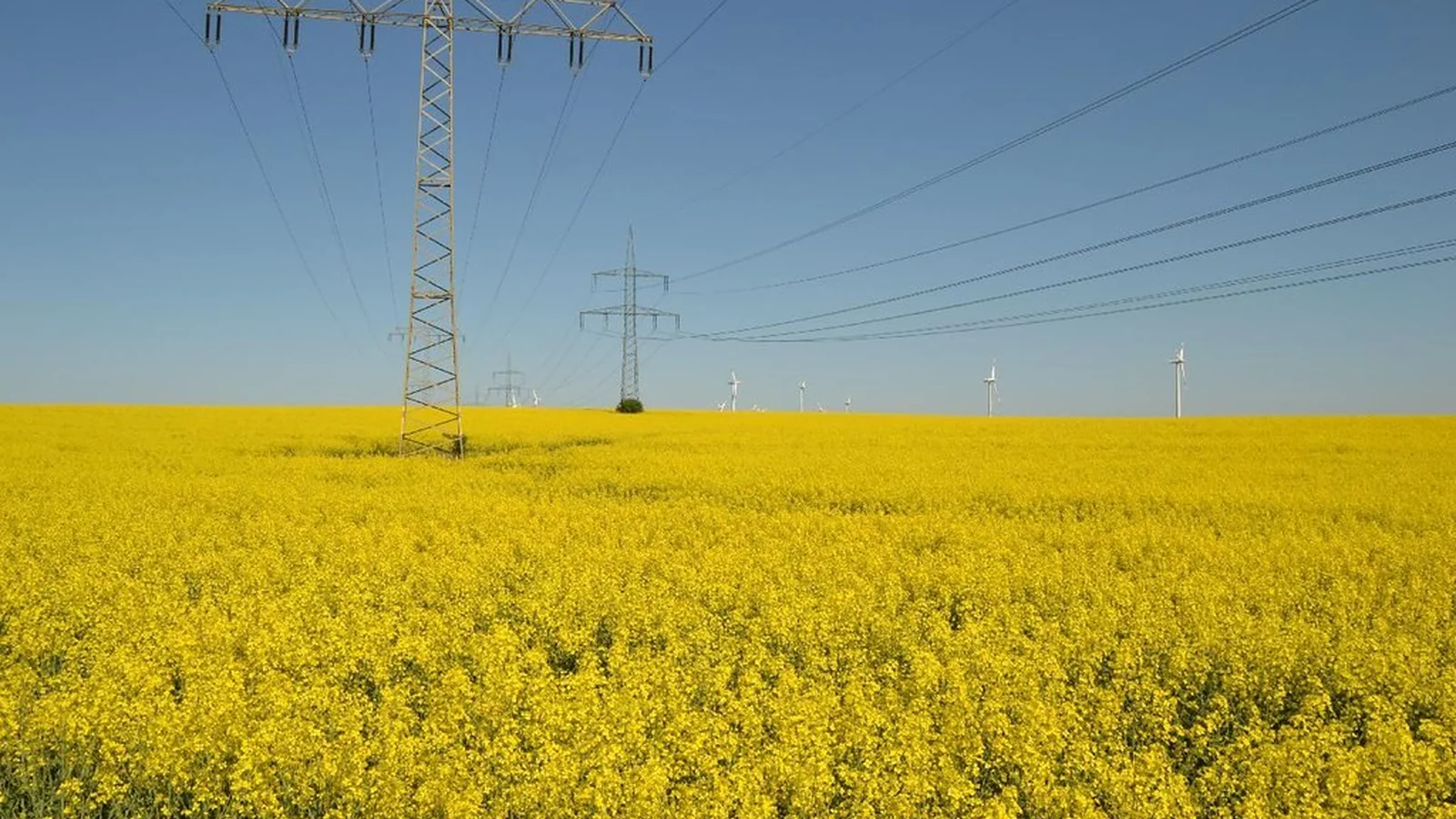 Fire Forces 400 Mw Solar Farm Offline in Australia