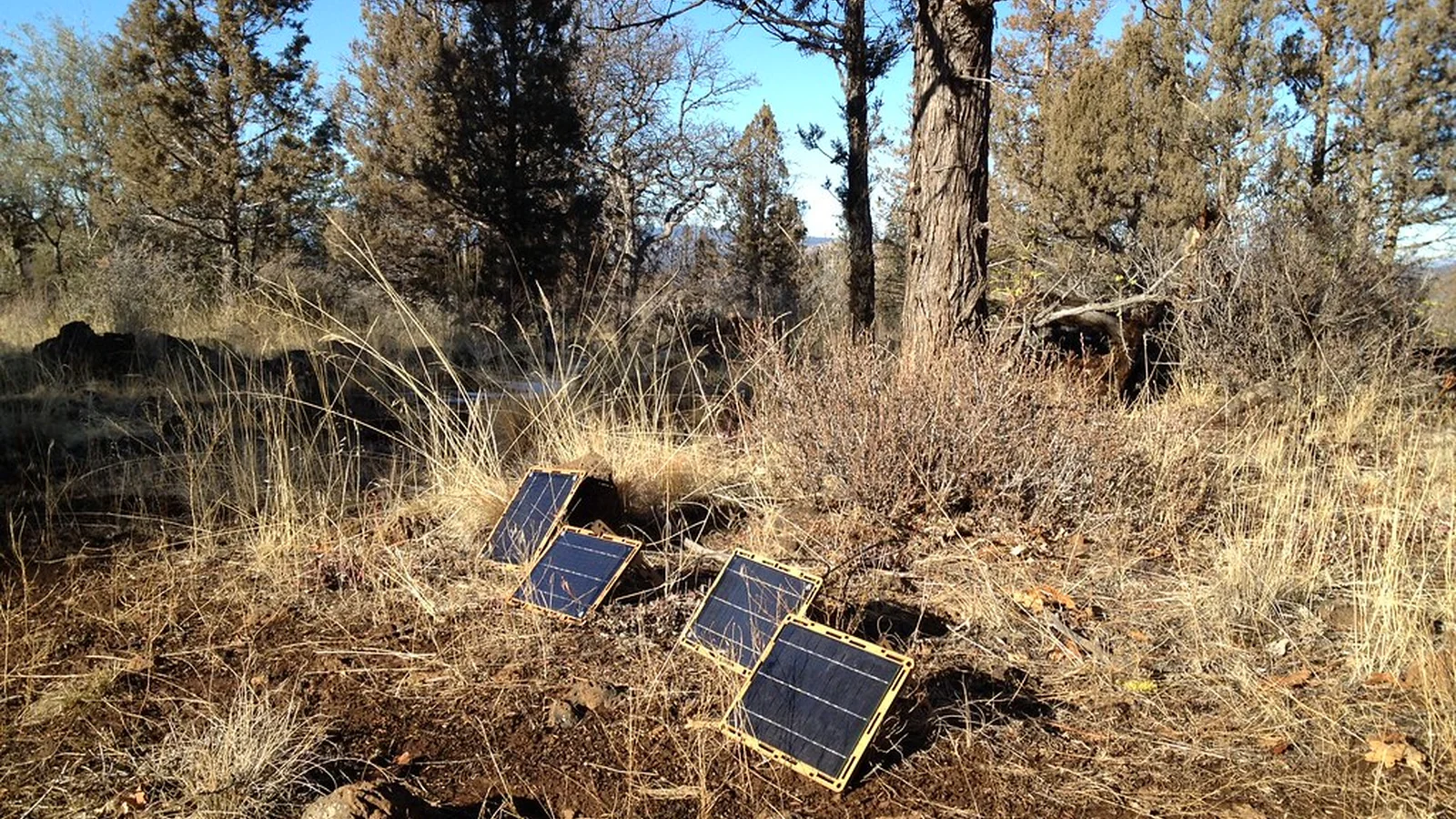 Illustration for Confident decisions for solar, batteries, and home backup power.