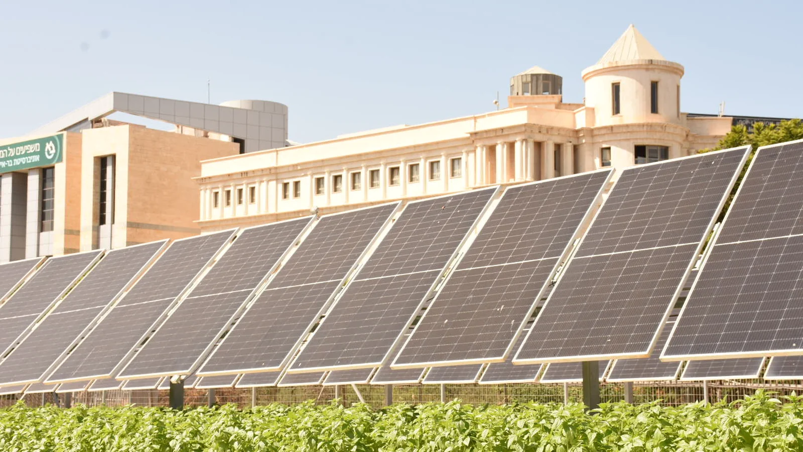 Illustration for New Report Warns of Critical Climate Risks in Arab Region