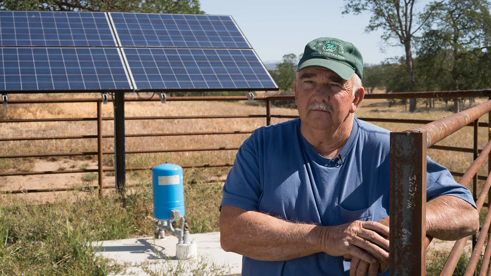 LifePo4 Batteries for Renewable Energy Storage