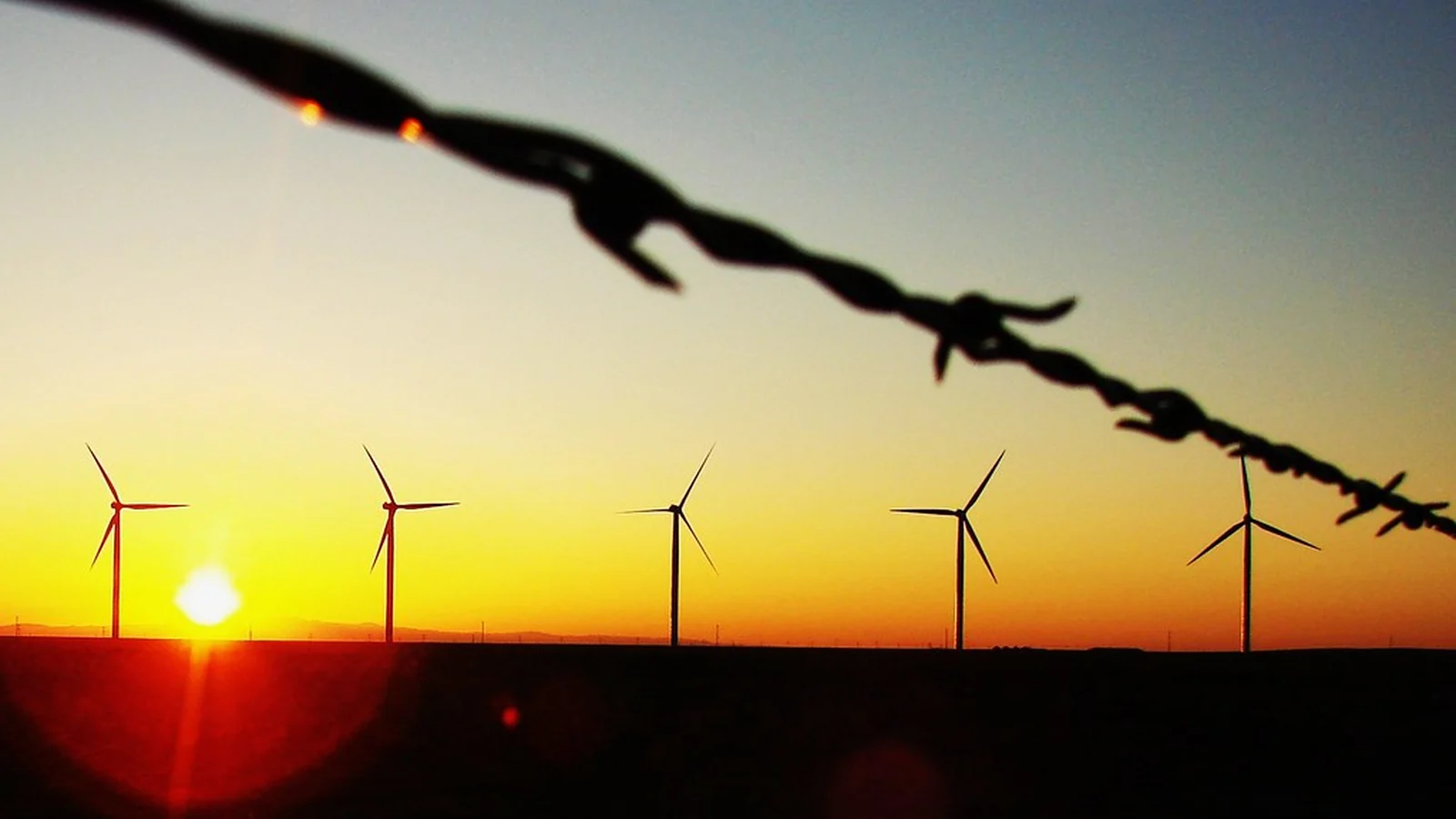 Harnessing the Breeze: Your Guide to Personal Wind Turbine Power