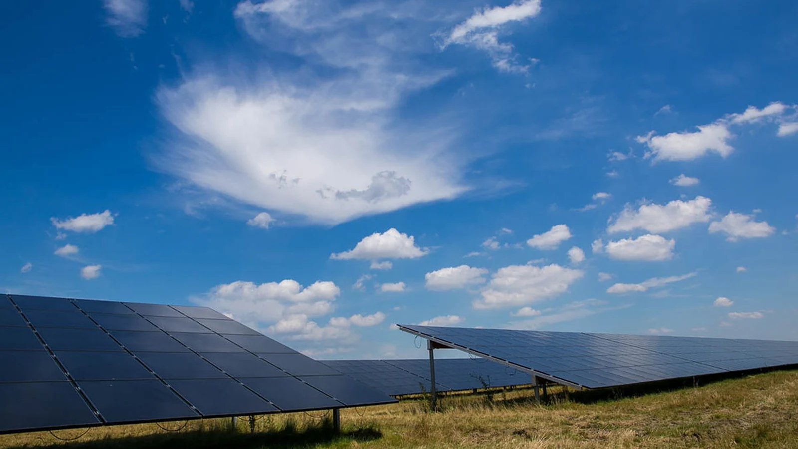 Operational Challenges at Purelight Power: a Shift in the Solar Landscape