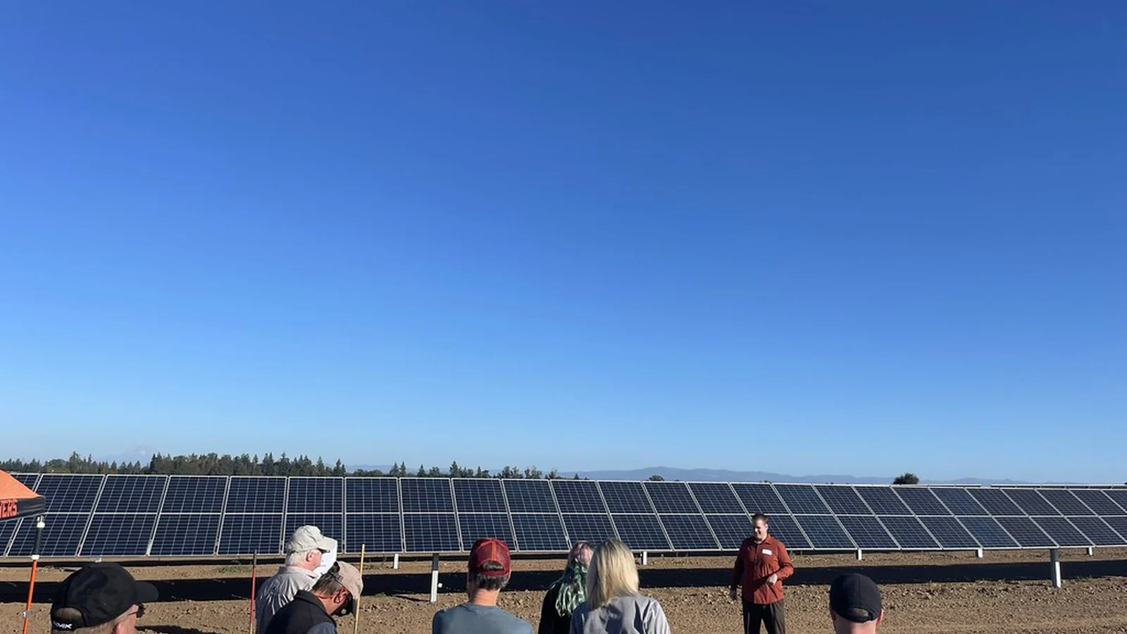 Revolutionizing Grazing: Rute SunTracker Integrates Solar Power With Cattle Farming