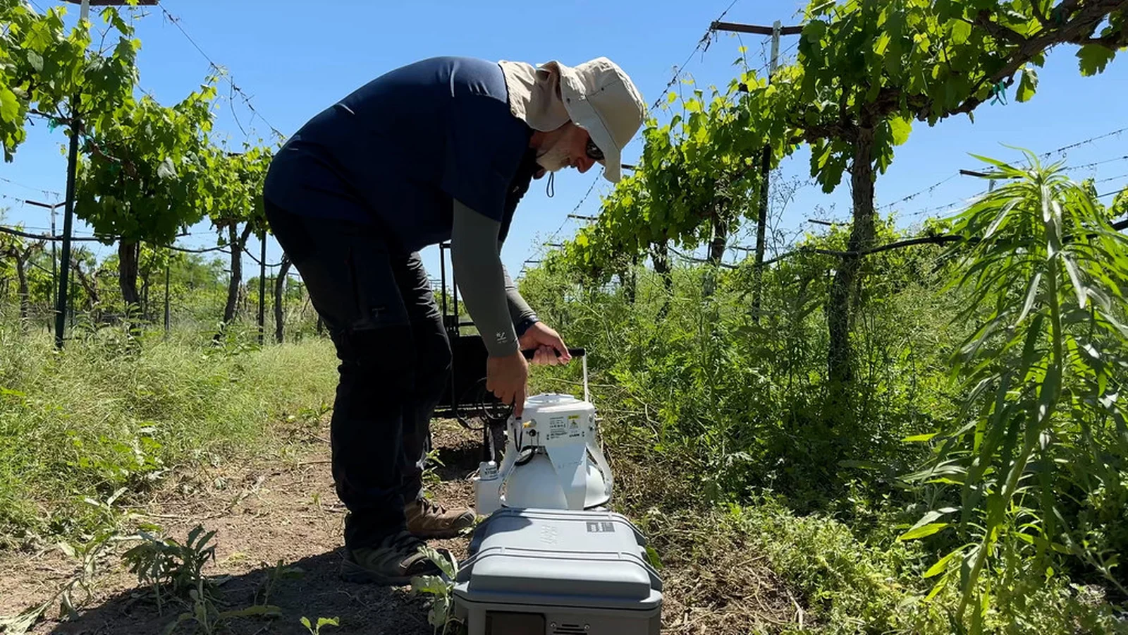 Sunlit Soil Strategies: A Focused Guide to Solar Farm Land Use and Soil Management