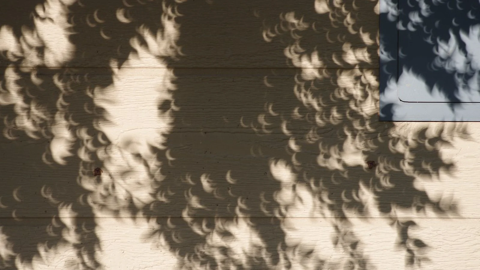 Solar Panel Shading Solutions: How to Diagnose Shade Loss and Fix It