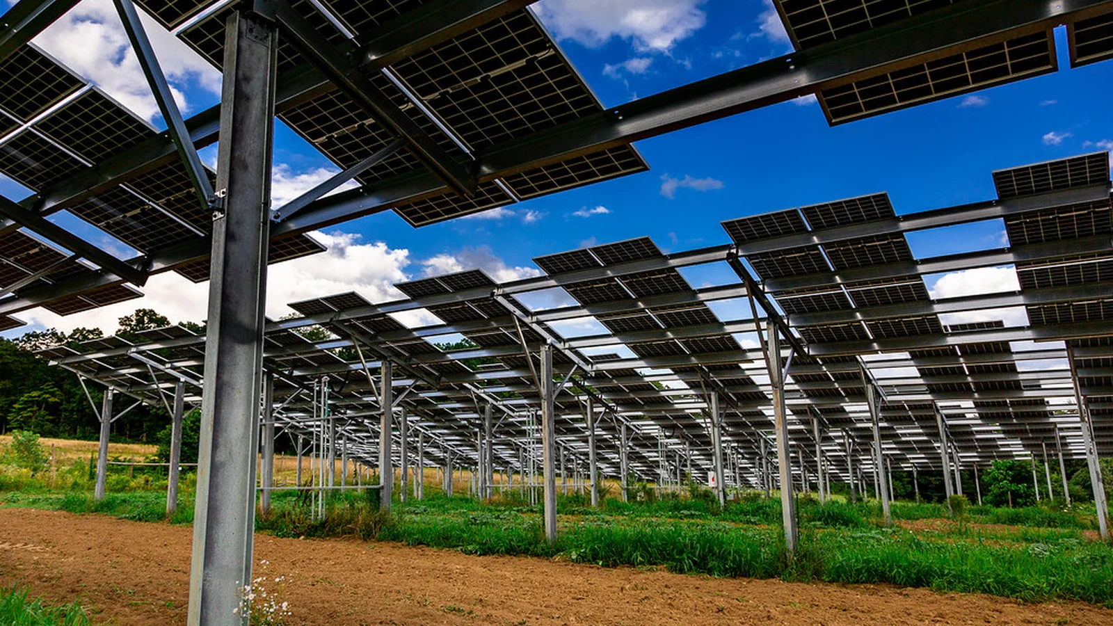 Maximizing Solar Investment Returns with LCOE and NPV