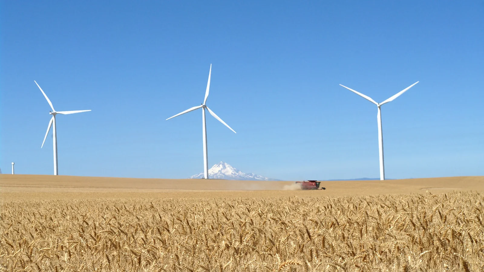 Harnessing the Breeze: Wind Energy Fundamentals